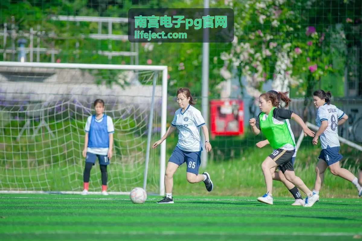 南宫电子pg官网平台服务接入与运行监测示意