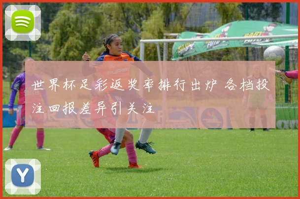 世界杯足彩返奖率排行出炉 各档投注回报差异引关注